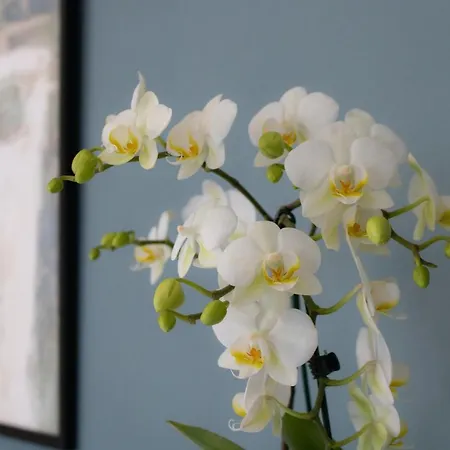 Apartment Aqualago D *